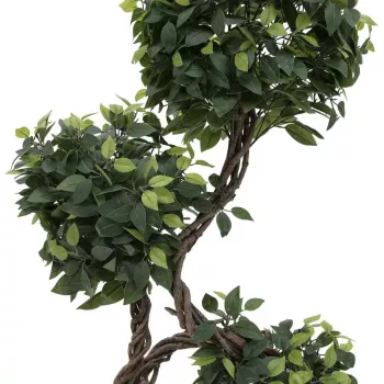 Plante artificielle EUROPALMS Ficus Multi Spiral Trunk, 160 cm 82501563