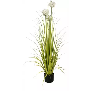 EUROPALMS plante artificielle herbe à allium, blanche, 120 cm 82600169