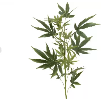 Branche de chanvre artificielle EUROPALMS, 90 cm, verte 82506699