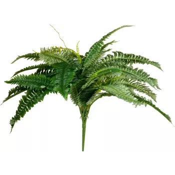 Plante artificielle fougère de Boston EUROPALMS, 53 cm, verte 82519934