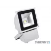 SYNERGY21 S21-LED-TOM01157 LED Outdoor Object Spotlight 80W Grey Housing Cool White V3