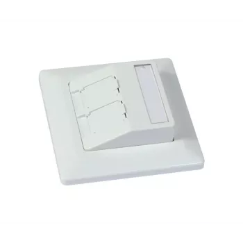 SYNERGY21 support de module Keystone encastré pour module 2xTP blanc pur rond S216330V3