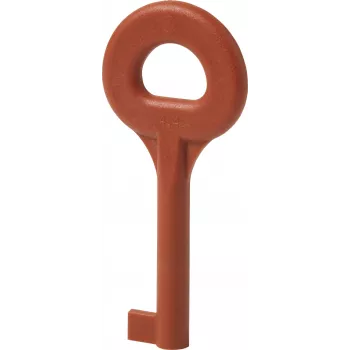 Clé de rechange Siemens DMZ1195 pour interrupteurs de sécurité 3SE5 (BPZ:4851910001)