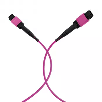 Câble de brassage EFB Elektronik MPO-PLUS(F)-MPO-PLUS(F) OM4 12 fibres type B LSZH, violet érika, 20 m MPOF12MPOFOM4-20