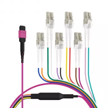 Câble trunk EFB Elektronik MPO-PLUS (F) vers LC, OM4, 12 fibres, type B, LSZH, violet Erika, 1m MPOF12LCOM4-1