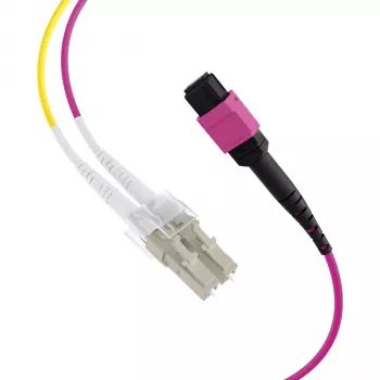 Câble trunk EFB Elektronik MPO-PLUS (F) vers LC, OM4, 12 fibres, type B, LSZH, violet Erika, 1m MPOF12LCOM4-1