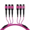 Câble de raccordement matrice EFB Elektronik MTP-F/MTP-F 48 fibres OM4, LSZH violet érika, code A, 25 m MTPF48MTPFOM4-25-A