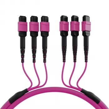 Câble de raccordement matrice EFB Elektronik MTP-F/MTP-F 48 fibres OM4, LSZH violet érika, code A, 25 m MTPF48MTPFOM4-25-A