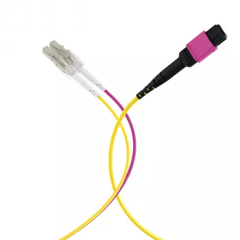 Câble trunk MPO-PLUS (F) vers LC duplex EFB Elektronik MPOF12LCOM4-5, OM4, 12 fibres, type B, LSZH, violet bruyère, 5 m