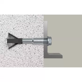 Ensemble de chevilles pour béton cellulaire Fischer 522835 FPX M10 I K NV