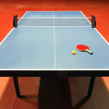 Ensemble de filet de tennis de table RELAXDAYS avec fixation à pince, noir 10025041_0