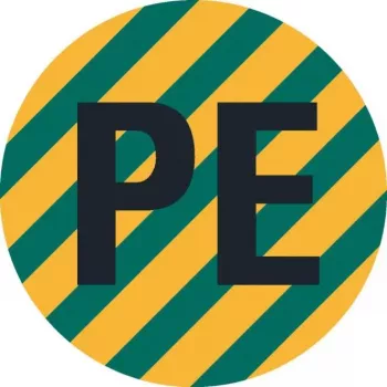HEIN 172023 PE Conductor Identification Label, PET, Self-Adhesive, Yellow/Green, 4 x 12 mm, 1000 Labels per Roll