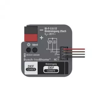 Entrée binaire KNX 2 voies encastrée BUSCH-JAEGER BI-F-2.0.12 (2CDG510023R0021)