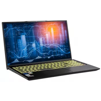 Ordinateur portable Captiva Business/Office I10-1417GE 17,3 pouces - Intel Core i5-1335U, 16 Go de RAM, SSD 2 To, Windows 11 Pro
