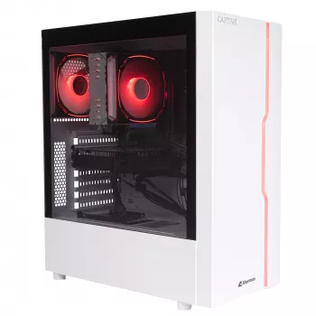 Captiva PC Business/Office R10-3811 (Ryzen 5 3400G/SSD 1 To/16 Go/WLAN/Windows 11 Famille 64 bits) (103811)