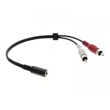 Câble adaptateur audio Kramer C-A35F/2RAM-1 – 3,5 mm femelle vers 2x RCA mâle, 30 cm, noir