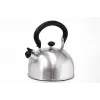 Théière en acier inoxydable IBILI 1,5 L avec filtre, argent poli, compatible induction