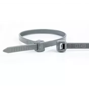 Serre-câbles en polyamide gris WKK 100 x 2,5 mm, pack de 100 (11032871)