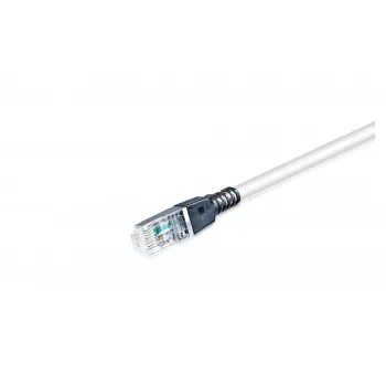 Câble réseau Cat6a S/FTP Wirewin PKW-SL-SFTP-KAT6A 10.0 SW 10 m gris