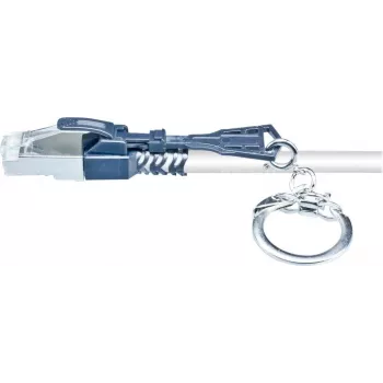 Câble patch Cat6a S/FTP Wirewin, RJ45, 0,3 m, gris PKW-SL-SFTP-KAT6A 0.3 SW