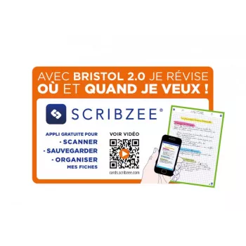 Oxford Fiches bristol, DIN A5, quadrillées, blanc/jaune, 210 g/m², perforation 2 trous, bord coloré, 100 fiches 400100550