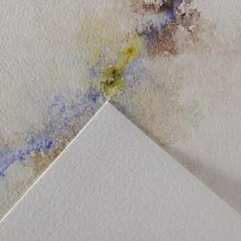 Papier aquarelle Canson Montval, 200 g/m², 500 x 650 mm, blanc naturel, grain fin, sans acide, 10 feuilles C518412002