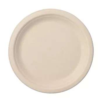 PAPSTAR Pure assiette en canne à sucre, ronde, 230 mm, 50 pièces, compostable, compatible micro-ondes 89866