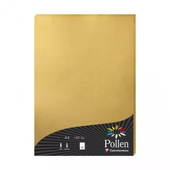 Papier Clairefontaine Pollen A4 or 120 g/m² - 25 feuilles 4200C