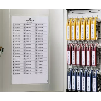 Armoire à clés DURABLE KEY BOX 18 avec serrure à cylindre, gris clair 195123