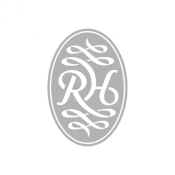 Grille-pain Russell Hobbs Luna Moonlight 2 tranches, fentes larges, 6 niveaux de brunissement, décongélation et réchauffage, Luna Grey 23221-56