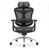 SIHOO DORO C300 Pro Chaise de bureau ergonomique en mesh noire