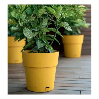 Pot de fleurs STEFANPLAST Ethica avec soucoupe Ø20x19 cm jaune moutarde