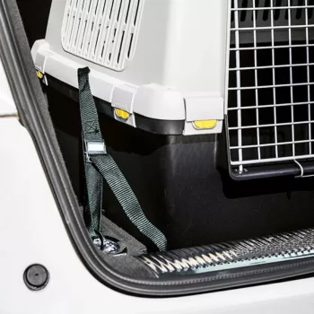 Ceintures de sécurité pour voiture pour caisse de transport Gulliver Touring STEFANPLAST (3 pièces)