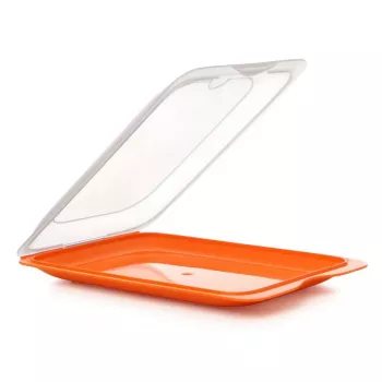 TATAY boîte de conservation pour charcuterie 17x25,2x3,2 cm assorti