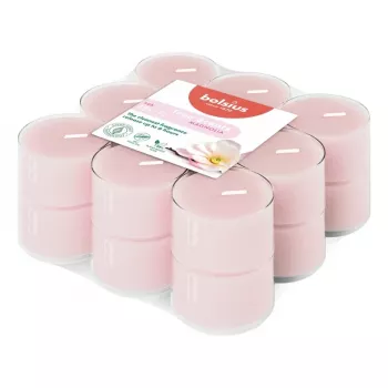 Bougies chauffe-plat parfumées BOLSIUS True Scents magnolia – 18 pièces, 4 h de combustion