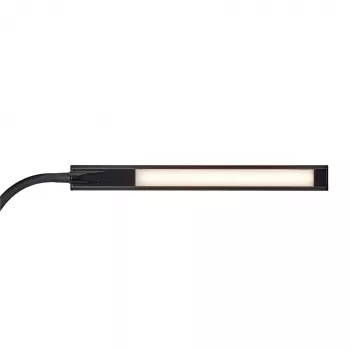 Lampe de table MAUL Pirro noire