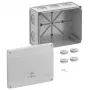 Spelsberg Abox Pro 250-L boîte de dérivation, IP66/IP67/IP69, 42540001