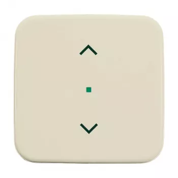 Bouton bascule Busch-Jaeger 6232-10-212 1 poste avec symbole store (6220-0-0081)