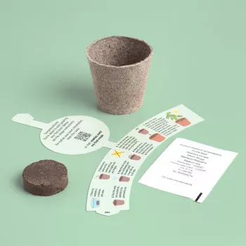 Resetea My First Crops – Ensemble de culture de basilic (Erst440)