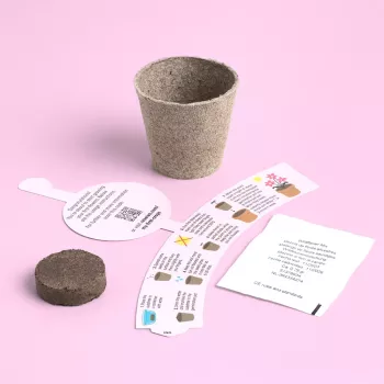 Resetea My First Crops – Ensemble de culture de fleurs (Erst441)