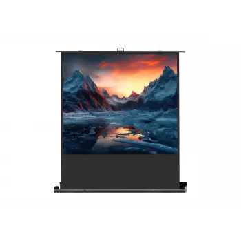 Toile de projection celexon Professional mobile plus, 63 pouces (161 cm)