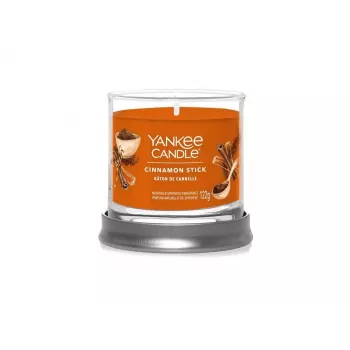 Yankee Candle bougie tumbler Cinnamon Stick à 1 mèche