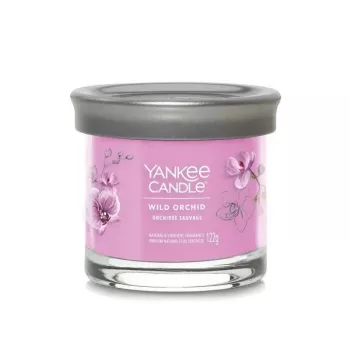 Yankee bougie tumbler à 1 mèche, Wild Orchid