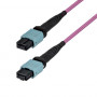 Câble de raccordement fibre optique MTP/MPO-12 multimode StarTech.com OM4MTP12BOFNP7M (7 m)