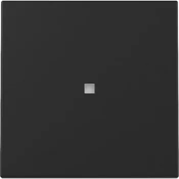 Bascule Gira System 55 3290005 avec fenêtre de contrôle, noire, mate