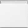 Bascule Gira 329903 avec champ d'inscription System 55, blanc pur