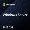 Microsoft Windows Server CAL 2025 Device, OEM, 1 client (EP2-25232)