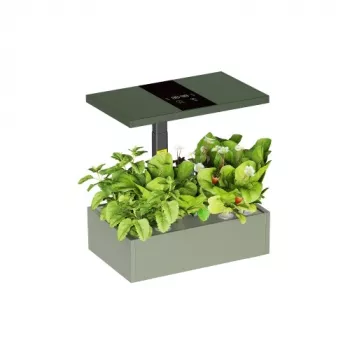 LUMI LEGEND CORPORATION HS085001 Smart Indoor Hydroponic Growing System, 20 Pods, 10 L, Full Spectrum LED, Digital Control Panel